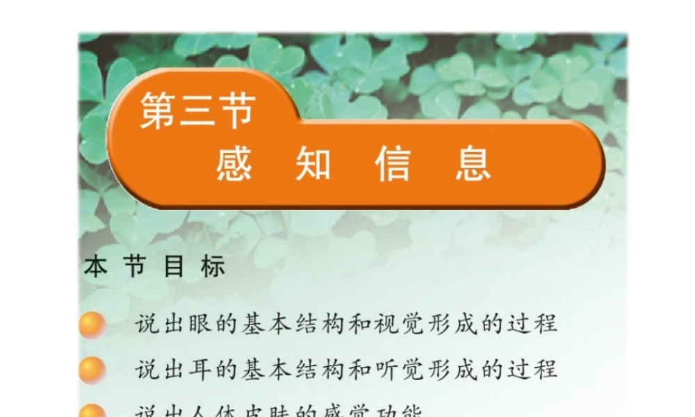 2014七年级生物下册 4.12.3 人体感知信息课件一 （新版）苏教版