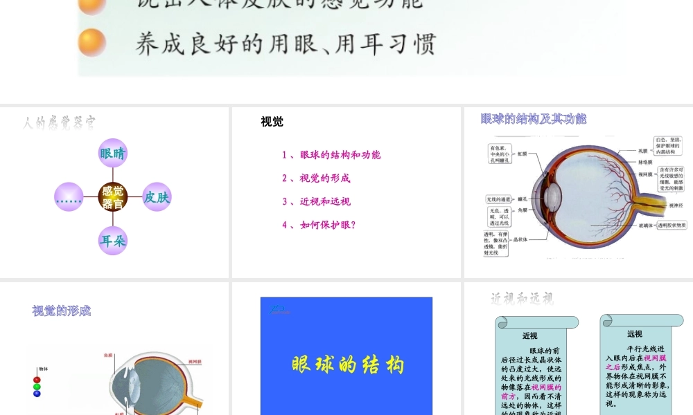 2014七年级生物下册 4.12.3 人体感知信息课件一 （新版）苏教版