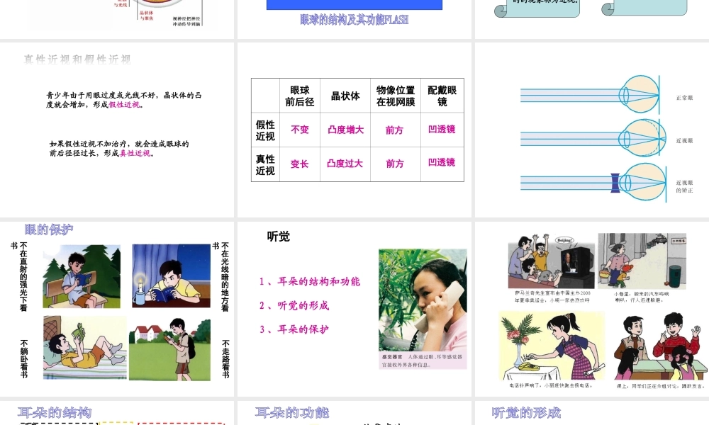 2014七年级生物下册 4.12.3 人体感知信息课件一 （新版）苏教版