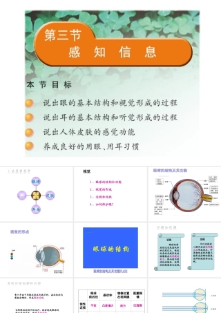 2014七年级生物下册 4.12.3 人体感知信息课件一 （新版）苏教版