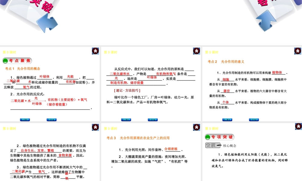 2014中考生物复习方案 绿色植物的光合作用（考点聚焦+专项突破，含2013试题）课件 新人教版