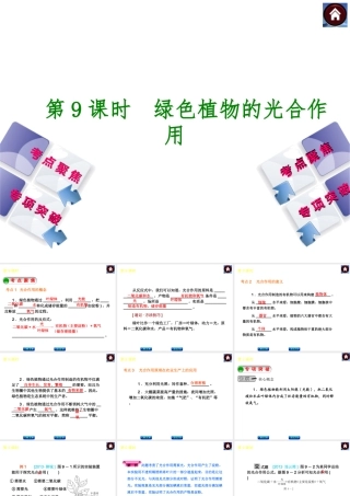 2014中考生物复习方案 绿色植物的光合作用（考点聚焦+专项突破，含2013试题）课件 新人教版
