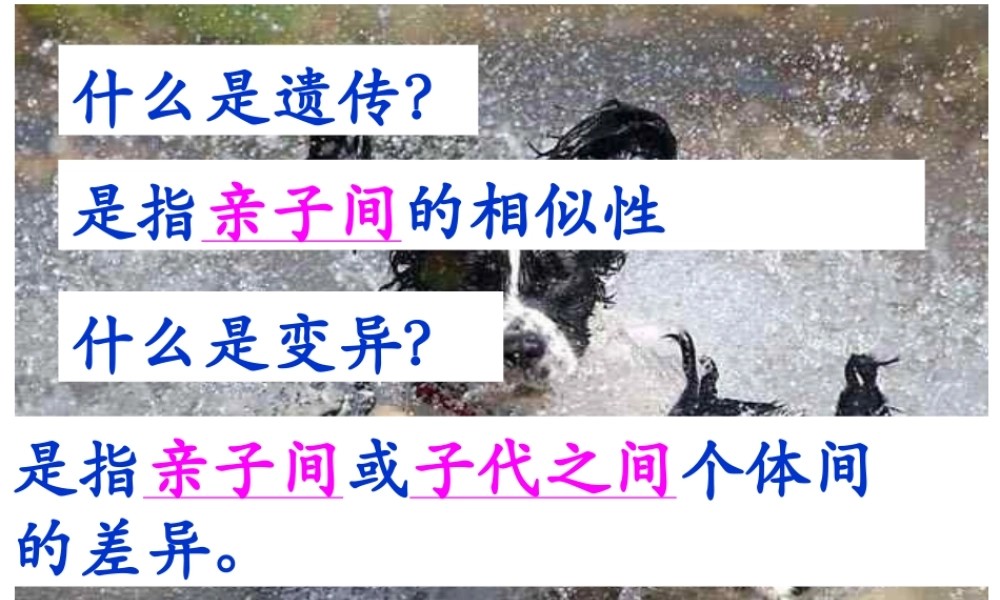 2015春八年级生物下册 第七单元 第二章 第一节 基因控制生物的性状课件 新人教版