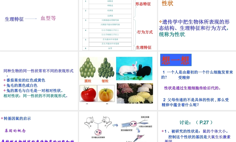 2015春八年级生物下册 第七单元 第二章 第一节 基因控制生物的性状课件 新人教版