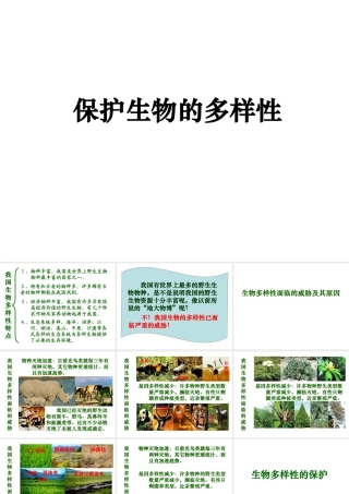 2014年秋八年级生物上册 第六单元 第三章 保护生物的多样性课件 新人教版