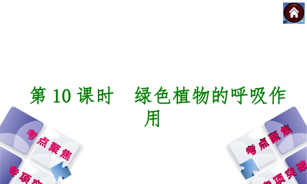 2014中考生物复习方案 绿色植物的呼吸作用（考点聚焦+专项突破，含2013试题）课件 新人教版