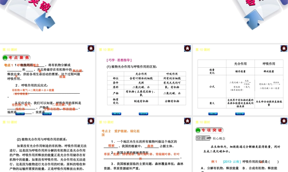 2014中考生物复习方案 绿色植物的呼吸作用（考点聚焦+专项突破，含2013试题）课件 新人教版