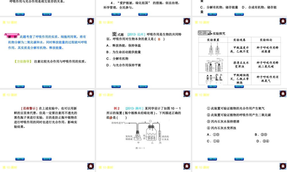 2014中考生物复习方案 绿色植物的呼吸作用（考点聚焦+专项突破，含2013试题）课件 新人教版