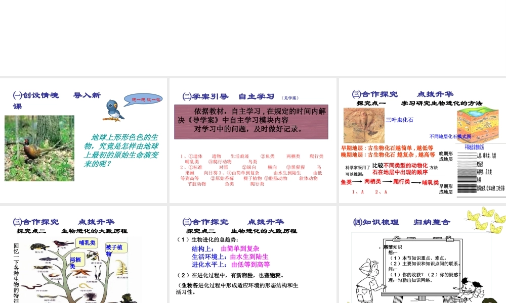 2015春八年级生物下册 第七单元 第三章 第二节 生物进化的历程课件 新人教版