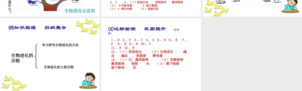 2015春八年级生物下册 第七单元 第三章 第二节 生物进化的历程课件 新人教版