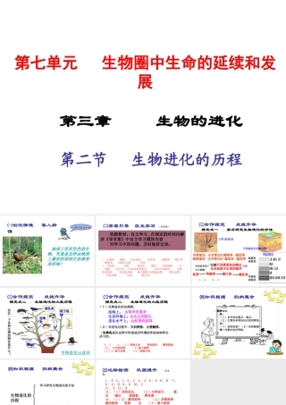 2015春八年级生物下册 第七单元 第三章 第二节 生物进化的历程课件 新人教版