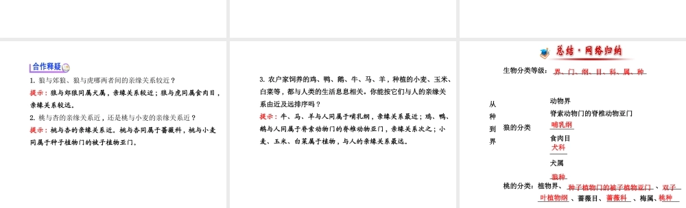 2014年秋八年级生物上册 第六单元 第一章 第二节 从种到界课件 （新版）新人教版