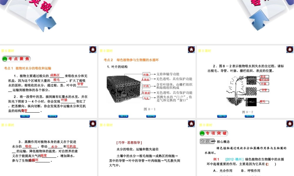 2014中考生物复习方案 绿色植物与生物圈的水循环（考点聚焦+专项突破，含2013试题）课件 新人教版