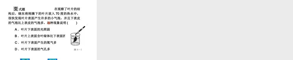 2014中考生物复习方案 绿色植物与生物圈的水循环（考点聚焦+专项突破，含2013试题）课件 新人教版