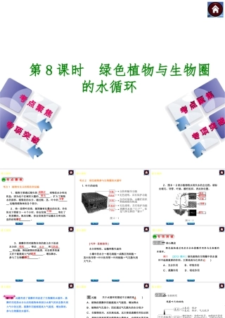 2014中考生物复习方案 绿色植物与生物圈的水循环（考点聚焦+专项突破，含2013试题）课件 新人教版