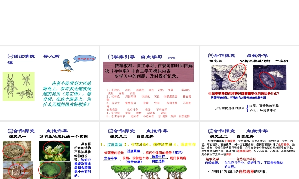 2015春八年级生物下册 第七单元 第三章 第三节 生物进化的原因课件 新人教版