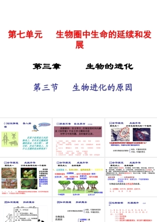 2015春八年级生物下册 第七单元 第三章 第三节 生物进化的原因课件 新人教版