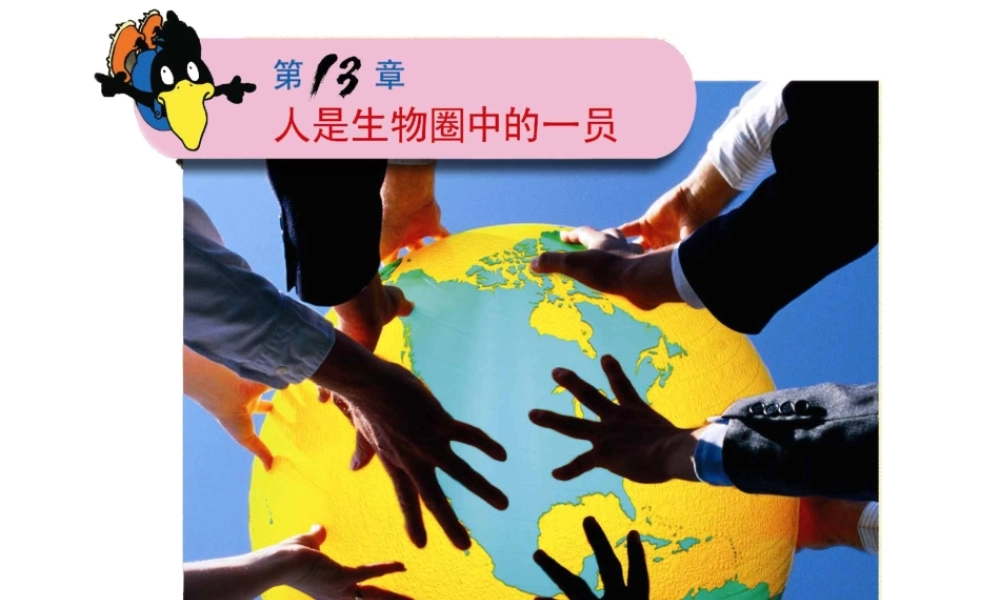 2014七年级生物下册 4.13.1 关注生物圈——环境在恶化课件一 （新版）苏教版