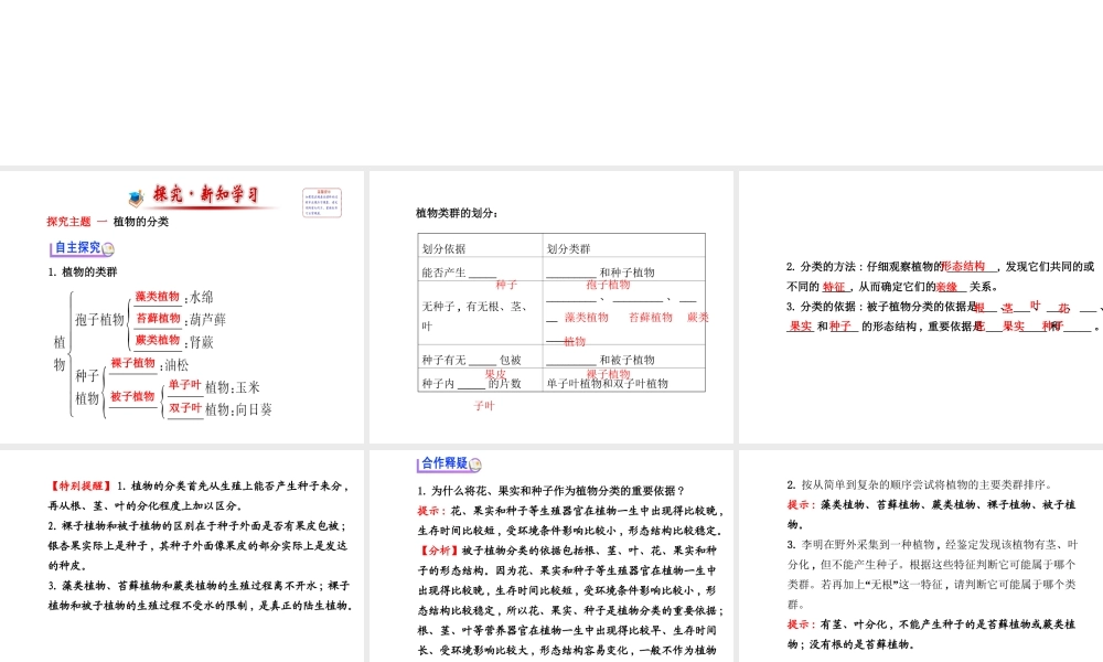 2014年秋八年级生物上册 第六单元 第一章 第一节 尝试对生物进行分类课件 （新版）新人教版
