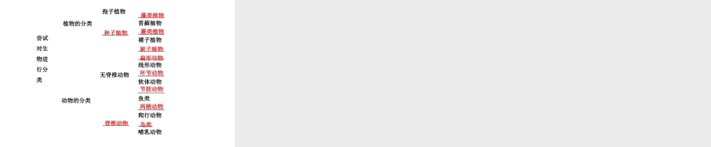 2014年秋八年级生物上册 第六单元 第一章 第一节 尝试对生物进行分类课件 （新版）新人教版