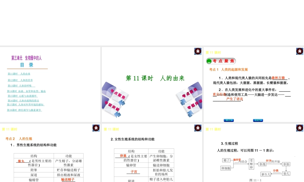 2014中考生物复习方案 人的由来（考点聚焦+专项突破，含2013试题）课件 新人教版