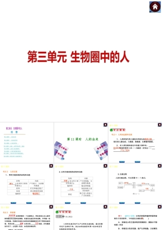 2014中考生物复习方案 人的由来（考点聚焦+专项突破，含2013试题）课件 新人教版