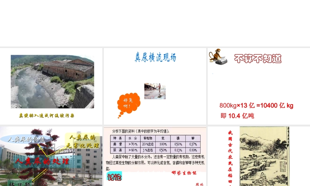 2014七年级生物下册 5 人体内废物的排出 人粪尿的处理课件1 新人教版