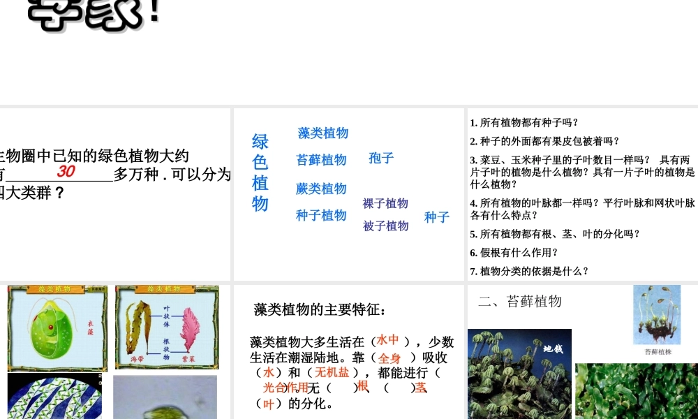 2014年秋八年级生物上册 第六单元 第一章 第一节 尝试对生物进行分类课件 新人教版