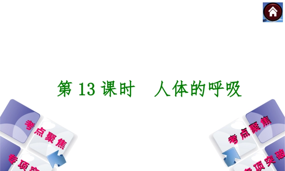2014中考生物复习方案 人体的呼吸（考点聚焦+专项突破，含2013试题）课件 新人教版