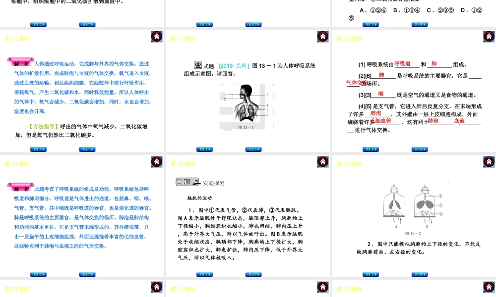 2014中考生物复习方案 人体的呼吸（考点聚焦+专项突破，含2013试题）课件 新人教版