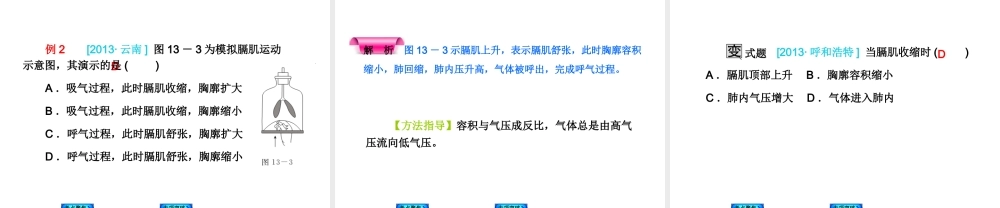 2014中考生物复习方案 人体的呼吸（考点聚焦+专项突破，含2013试题）课件 新人教版