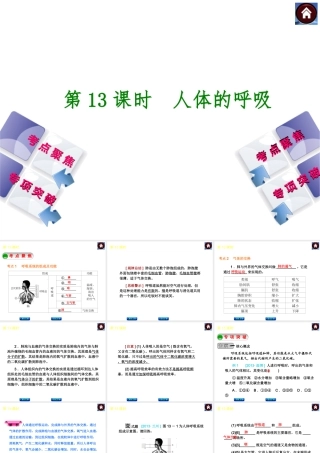 2014中考生物复习方案 人体的呼吸（考点聚焦+专项突破，含2013试题）课件 新人教版