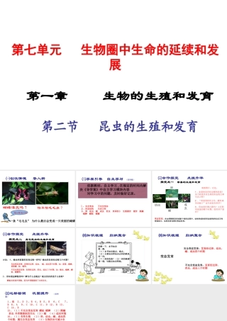 2015春八年级生物下册 第七单元 第一章 第二节 昆虫的生殖和发育课件 新人教版