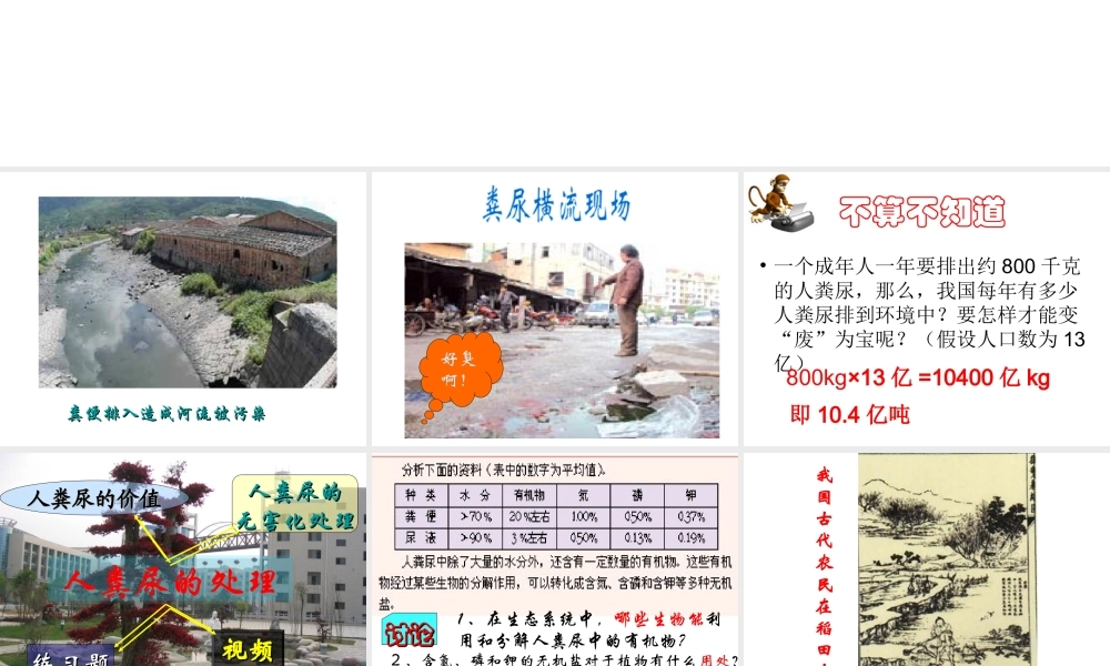 2014七年级生物下册 5 人体内废物的排出 人粪尿的处理课件2 新人教版