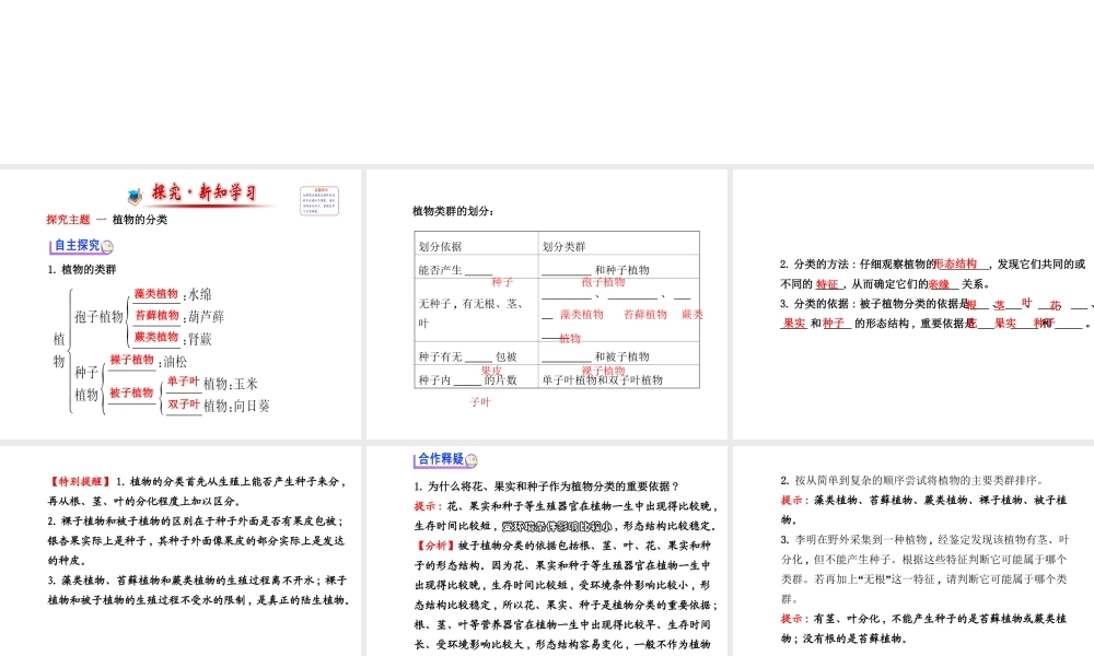2014年秋八年级生物上册 第六单元 第一章 第一节 试对生物进行分类课件 （新版）新人教版