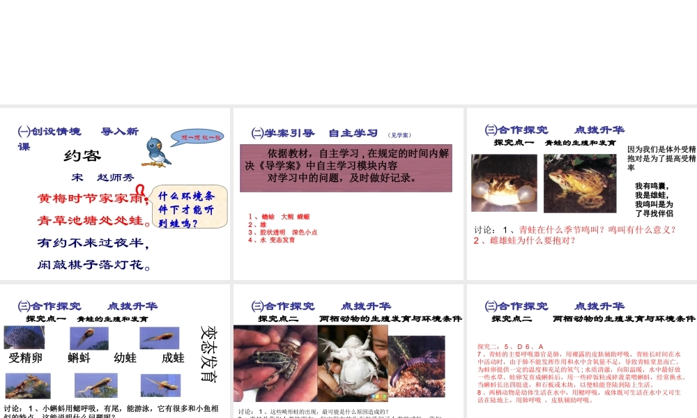 2015春八年级生物下册 第七单元 第一章 第三节 两栖动物的生殖和发育课件 新人教版