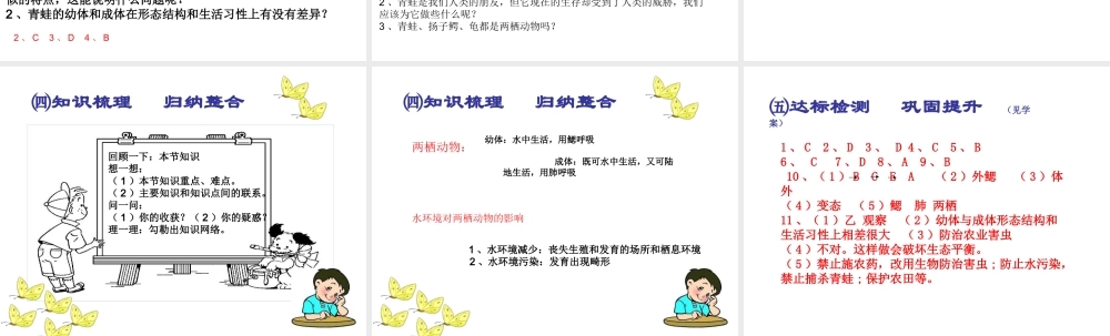 2015春八年级生物下册 第七单元 第一章 第三节 两栖动物的生殖和发育课件 新人教版