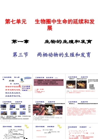 2015春八年级生物下册 第七单元 第一章 第三节 两栖动物的生殖和发育课件 新人教版