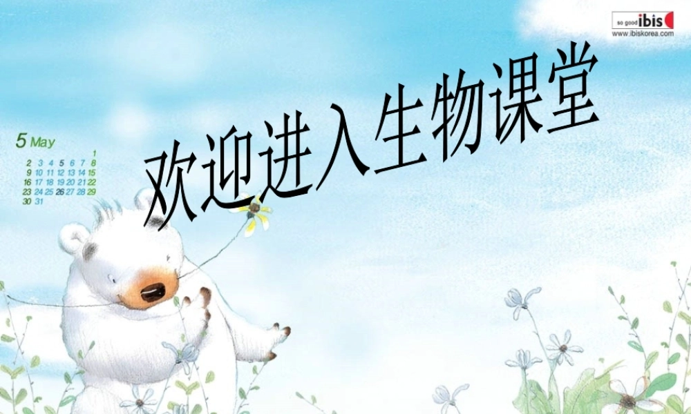 2014七年级生物下册 5 人体内废物的排出课件1 新人教版