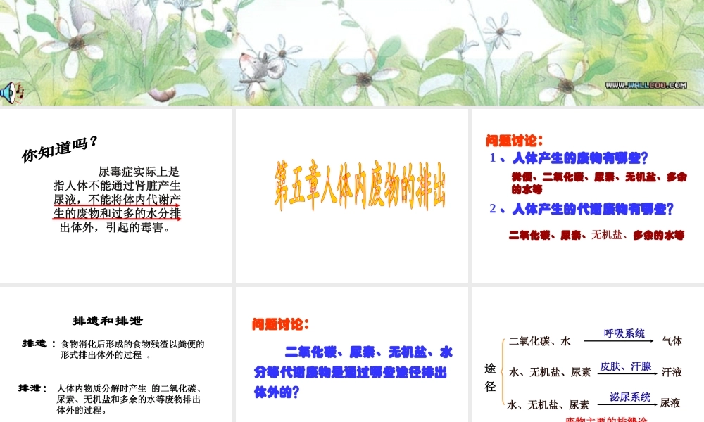 2014七年级生物下册 5 人体内废物的排出课件1 新人教版