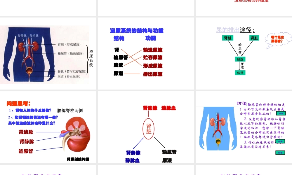 2014七年级生物下册 5 人体内废物的排出课件1 新人教版