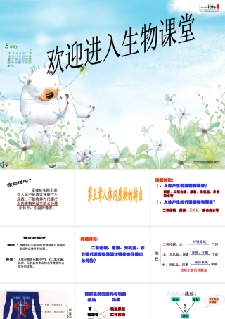 2014七年级生物下册 5 人体内废物的排出课件1 新人教版