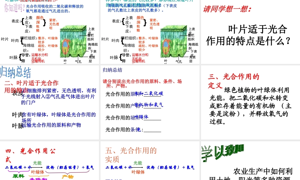 2014年秋八年级生物上册 第三章 第三节 光合作用的场所课件