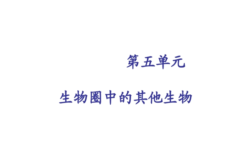 2014秋八年级生物上册 第五单元 第一章 第一节 腔肠动物和扁形动物课件 （新版）新人教版
