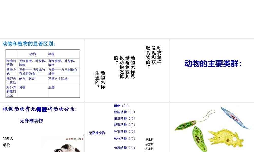 2014秋八年级生物上册 第五单元 第一章 第一节 腔肠动物和扁形动物课件 （新版）新人教版