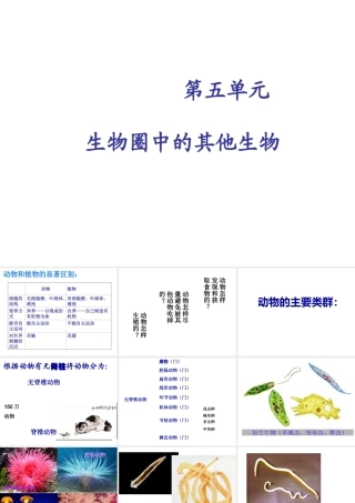 2014秋八年级生物上册 第五单元 第一章 第一节 腔肠动物和扁形动物课件 （新版）新人教版