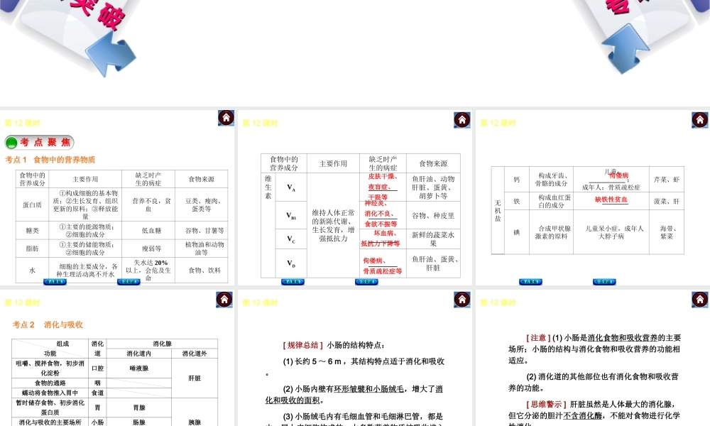 2014中考生物复习方案 人体的营养（考点聚焦+专项突破，含2013试题）课件 新人教版
