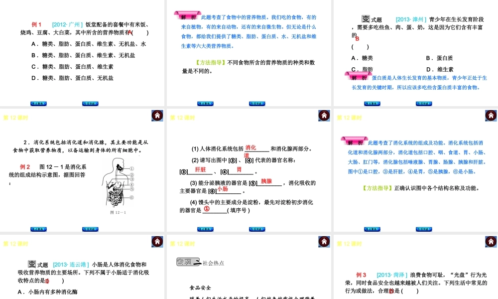 2014中考生物复习方案 人体的营养（考点聚焦+专项突破，含2013试题）课件 新人教版