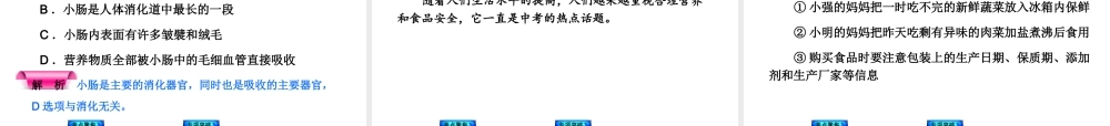 2014中考生物复习方案 人体的营养（考点聚焦+专项突破，含2013试题）课件 新人教版