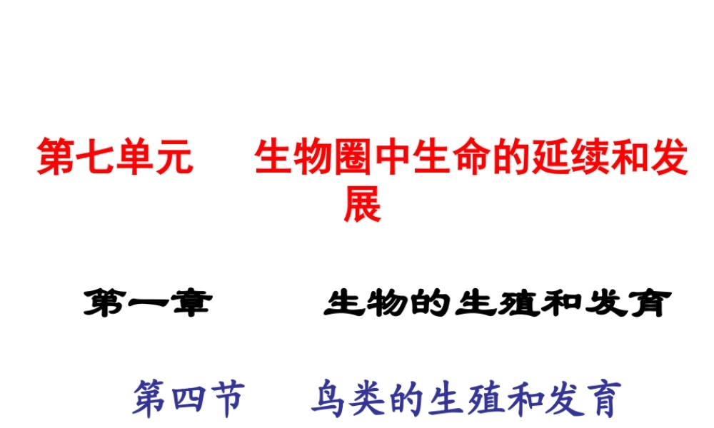 2015春八年级生物下册 第七单元 第一章 第四节 鸟的生殖和发育课件 新人教版